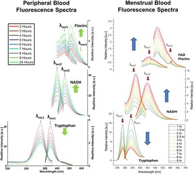 Brightness of blood: Review of fluorescence spectroscopy analysis of bloodstains